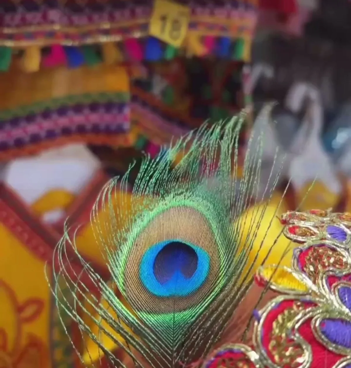 Close-up macro shot of a peacock feather against a colourful festive baby costume with gold embroidery, from BabyNeeds Store's own advertisement.